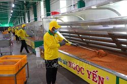 Lấy doanh nghiệp l&agrave;m trung t&acirc;m trong ch&iacute;nh s&aacute;ch hỗ trợ