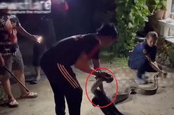 Nghe tiếng động lạ, gia chủ phát hiện cảnh tượng 'nổi da gà', cả xóm ùn ùn kéo đến xem