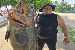 2 cha con bắt được con cá mú khổng lồ nặng 75 kg trên biển