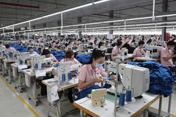 Lợi nhuận Dệt may Thành Công giảm mạnh