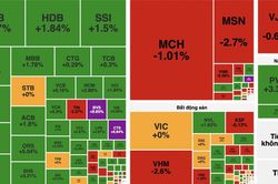 Lực cầu cuối phi&ecirc;n gi&uacute;p VN-Index đảo chiều tăng, khối ngoại trở lại mua r&ograve;ng