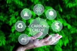 Thị trường carbon: Doanh nghiệp cần vượt qua tư duy 'đối ph&oacute;'