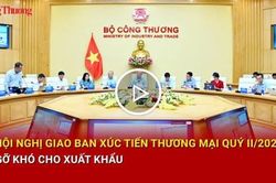 Hội nghị giao ban xúc tiến thương mại quý II/2026:Gỡ khó cho xuất khẩu