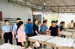 Hội LHPN xã Ngọc Liên giúp hội viên phát triển kinh tế