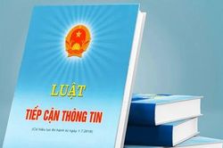 Triển khai thi hành Luật Tiếp cận thông tin trên địa bàn tỉnh