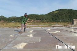 Sinh ra từ nắng, lấp lánh giữa đời