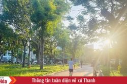 Khoảng xanh của phố