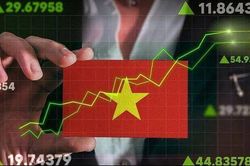 Chứng kho&aacute;n Việt c&oacute; th&ecirc;m gần 1,6 triệu t&agrave;i khoản trong nửa đầu năm