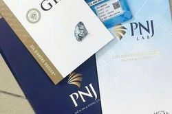 C&aacute;c c&ocirc;ng ty chứng kho&aacute;n dự đo&aacute;n ra sao về kết quả kinh doanh PNJ 2026?