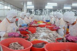 Đánh thức động lực từ đô thị biển