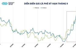 Gi&aacute; c&agrave; ph&ecirc; lập đỉnh nhiều th&aacute;ng do lo ngại El Nino