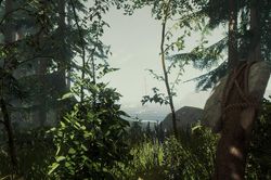 The Forest giảm giá 78% trên Steam: Cơ hội sở hữu siêu phẩm sinh tồn với giá cực rẻ