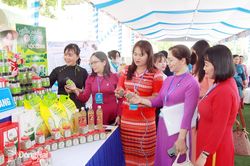 Thúc đẩy phụ nữ khởi nghiệp, phát triển kinh tế