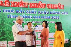 Giống chất lượng cao cho nông sản xuất khẩu