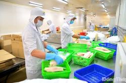 Những điểm s&aacute;ng trong bức tranh kinh tế