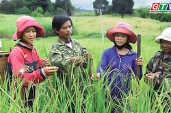 Điểm tin trưa: Gia Lai đẩy nhanh triển khai c&aacute;c chương tr&igrave;nh mục ti&ecirc;u quốc gia giai đoạn 2026-2030