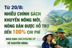 Từ 20/8: Nhiều chính sách hỗ trợ khuyến nông mới, nông dân được hỗ trợ đến 100% chi phí