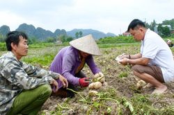 L&agrave;m gi&agrave;u tr&ecirc;n qu&ecirc; hương