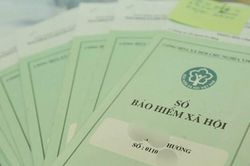Chủ hộ kinh doanh phải đóng BHXH bắt buộc