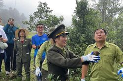 Vườn Quốc gia Hoàng Liên tái thả 57 cá thể động vật hoang dã về môi trường tự nhiên