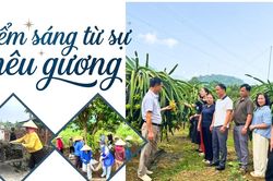 Điểm s&aacute;ng từ sự n&ecirc;u gương