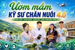'Ươm mầm' kỹ sư chăn nu&ocirc;i 4.0