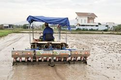 Cơ giới hóa phương pháp sạ cụm trên diện tích lúa hè thu