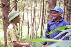 Quỹ Bảo vệ và Phát triển rừng tỉnh Lâm Đồng triển khai tạm ứng tiền dịch vụ môi trường rừng lần 2 năm 2026