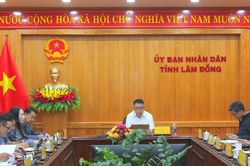 L&acirc;m Đồng chủ động triển khai chuỗi hoạt động k&iacute;ch cầu du lịch cuối năm