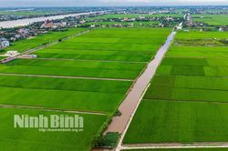 Ninh B&igrave;nh ban h&agrave;nh ch&iacute;nh s&aacute;ch mới hỗ trợ sản xuất v&agrave; bảo vệ đất trồng l&uacute;a