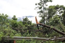 Đảm bảo an to&agrave;n lưới điện m&ugrave;a mưa b&atilde;o
