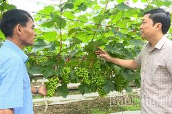 Động lực cho kinh tế phường Ph&uacute; Thọ