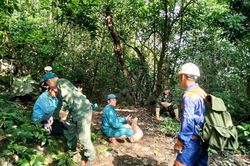 Giữ màu xanh đại ngàn