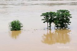Thực hiện hiệu quả các giải pháp phòng, chống thiên tai, hạn chế thấp nhất thiệt hại