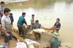 Cú huých tái cơ cấu ngành nông nghiệp