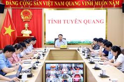 Chuẩn bị điều kiện tốt nhất cho các trường phổ thông nội trú liên cấp tiểu học và THCS hoạt động từ năm học 2026-2027
