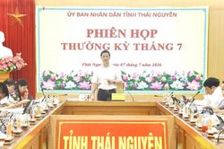 Quyết liệt triển khai các giải pháp, phấn đấu hoàn thành mục tiêu tăng trưởng