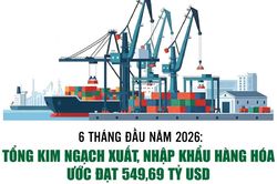 Infographics: Tổng kim ngạch xuất, nhập khẩu h&agrave;ng h&oacute;a 6 th&aacute;ng ước đạt 549,69 tỷ USD