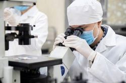Chuyển từ quốc tịch nước ngoài sang quốc tịch Việt Nam, người lao động có phải cấp mã số thuế mới không?
