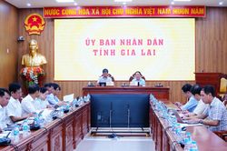 Gia Lai tăng tốc gỡ điểm nghẽn, tiếp sức doanh nghiệp tư nhân