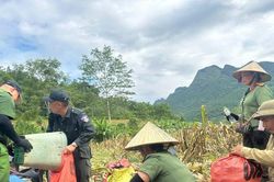 Tuyên Quang: Công an xã giúp cựu chiến binh thu hoạch hoa màu, khắc phục hậu quả thiên tai