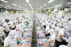Thu nhập của lao động duy tr&igrave; ổn định