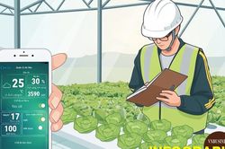Sở hữu trí tuệ - 'chìa khóa vàng' nâng tầm HTX ở Quảng Ninh