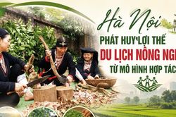 Hà Nội phát huy lợi thế du lịch nông nghiệp từ mô hình hợp tác xã
