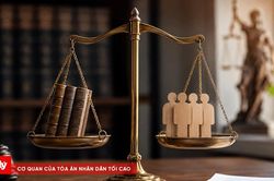 Đừng để thị trường pháp lý tôn vinh nhầm giá trị