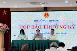 Vì sao Việt Nam nhập siêu hơn 16 tỷ USD giữa lúc kinh tế tăng trưởng mạnh?