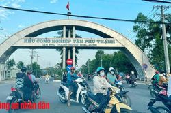 Điều tra Công ty gỗ 'né' hóa đơn trên 17 tỷ đồng
