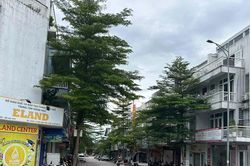 Chưa được giao đất, một doanh nghiệp đã xây hàng chục căn nhà rồi... bán