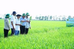Chuyện người n&ocirc;ng d&acirc;n 'đ&aacute;nh thức' v&ugrave;ng đất ph&egrave;n