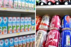 Vì sao sữa thường được đựng trong hộp giấy, còn nước ngọt chủ yếu đóng lon?